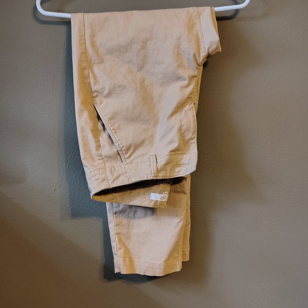 LOFT Monroe Slim Chino Pants size 2